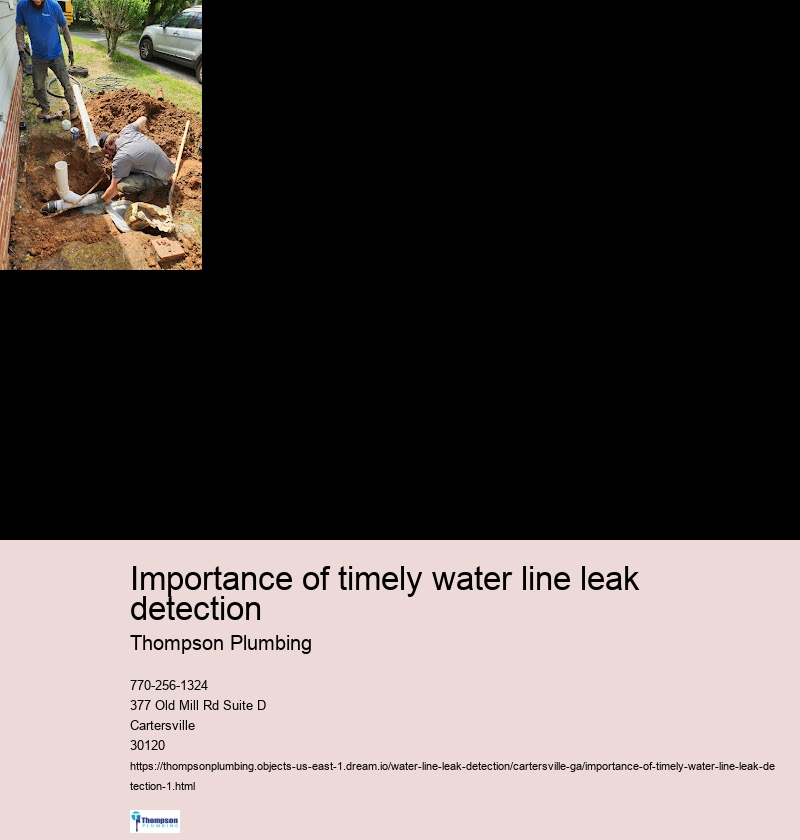 Importance of timely water line leak detection