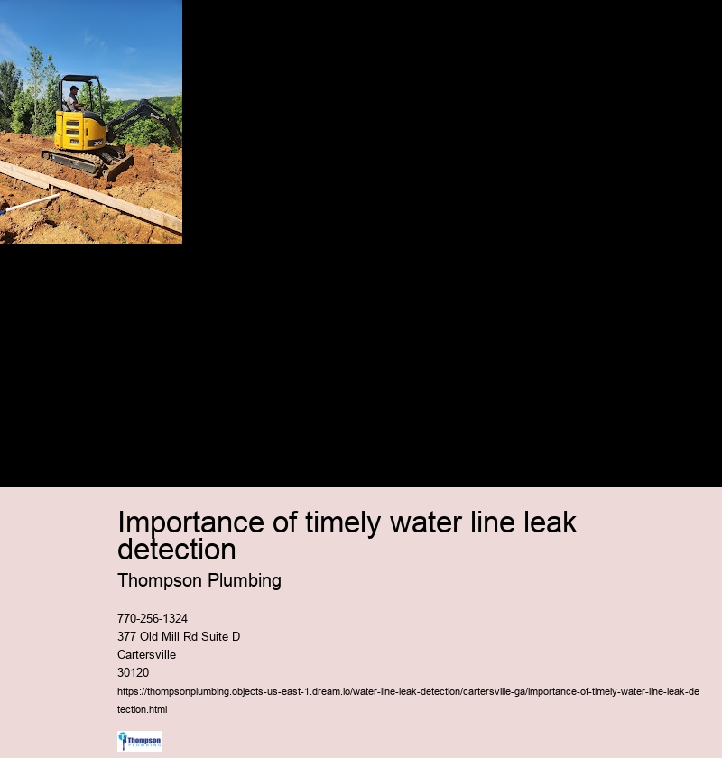 Importance of timely water line leak detection