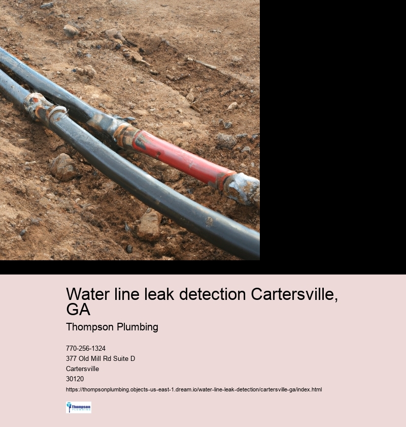 Water line leak detection Cartersville, GA