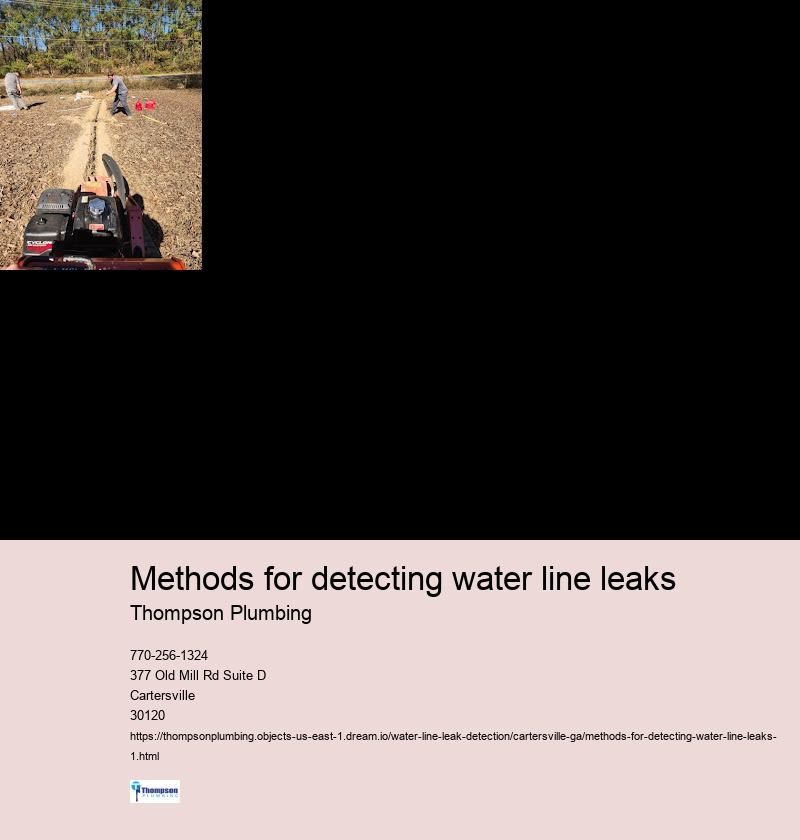 Methods for detecting water line leaks
