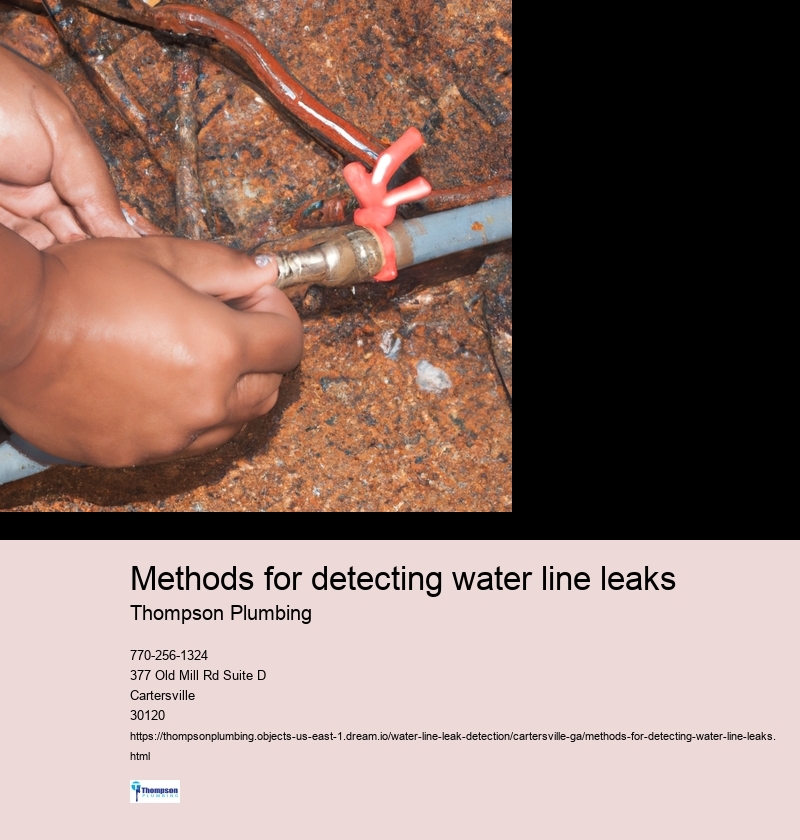 Methods for detecting water line leaks