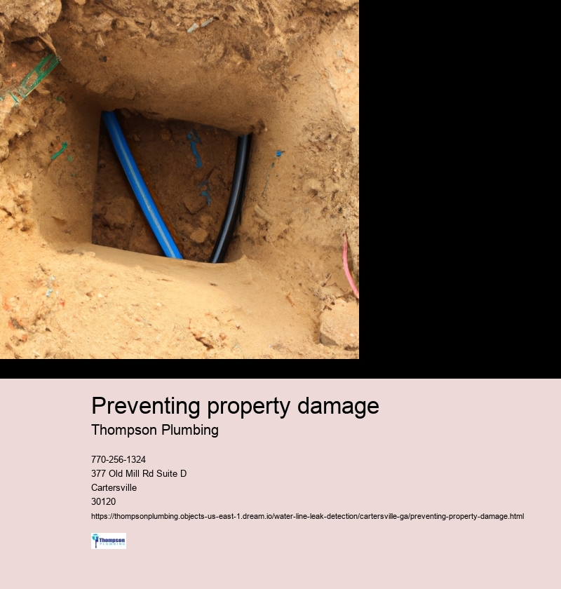 Preventing property damage